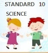 Standard 10 Set Option 2 Science