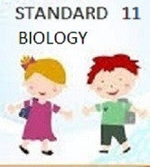 Standard 11 Set Option 4 Biology