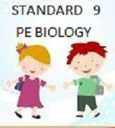 Standard 9 Set Option 8 PE Biology